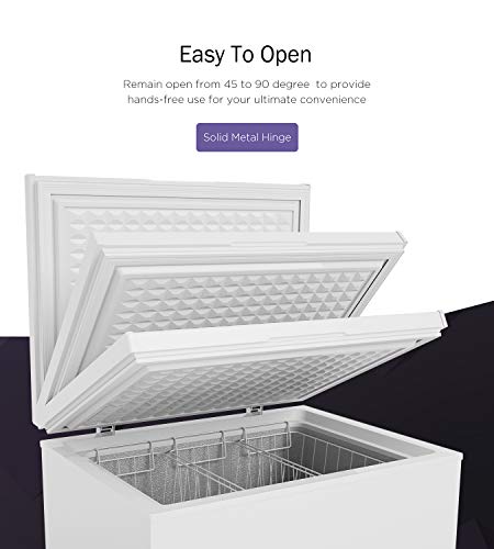 Chest Freezer G418821