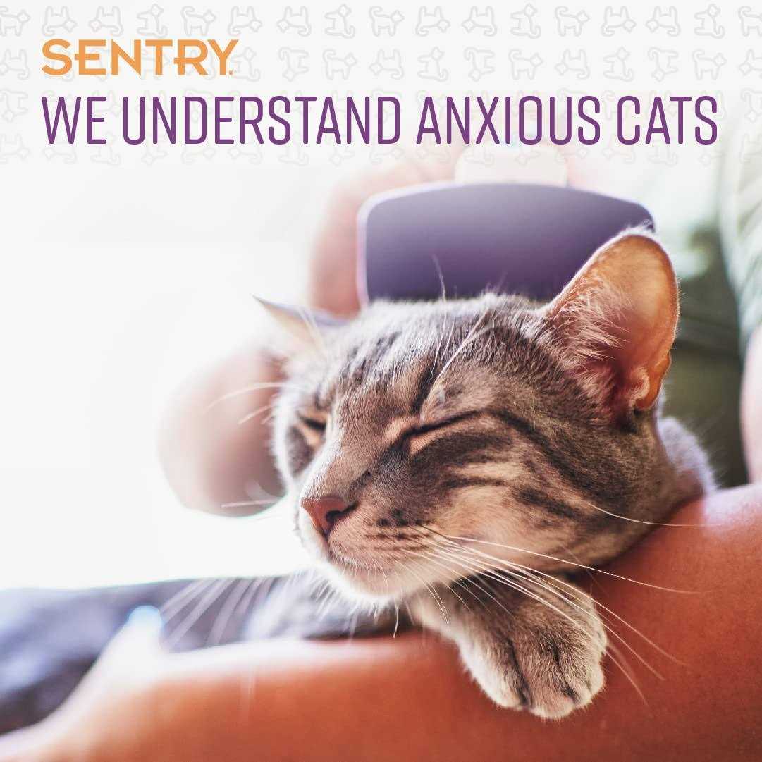 Calming Chews for Cats M24805