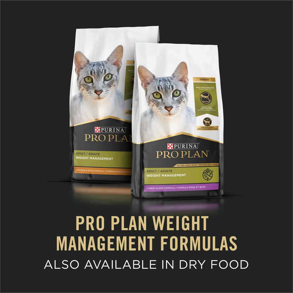 Weight Management Ground Turkey & Rice Entree Canned Cat Food C4034