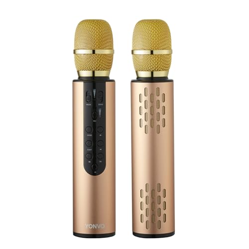 Black Handheld Wireless Microphone with 10W Dual Speakers D9839