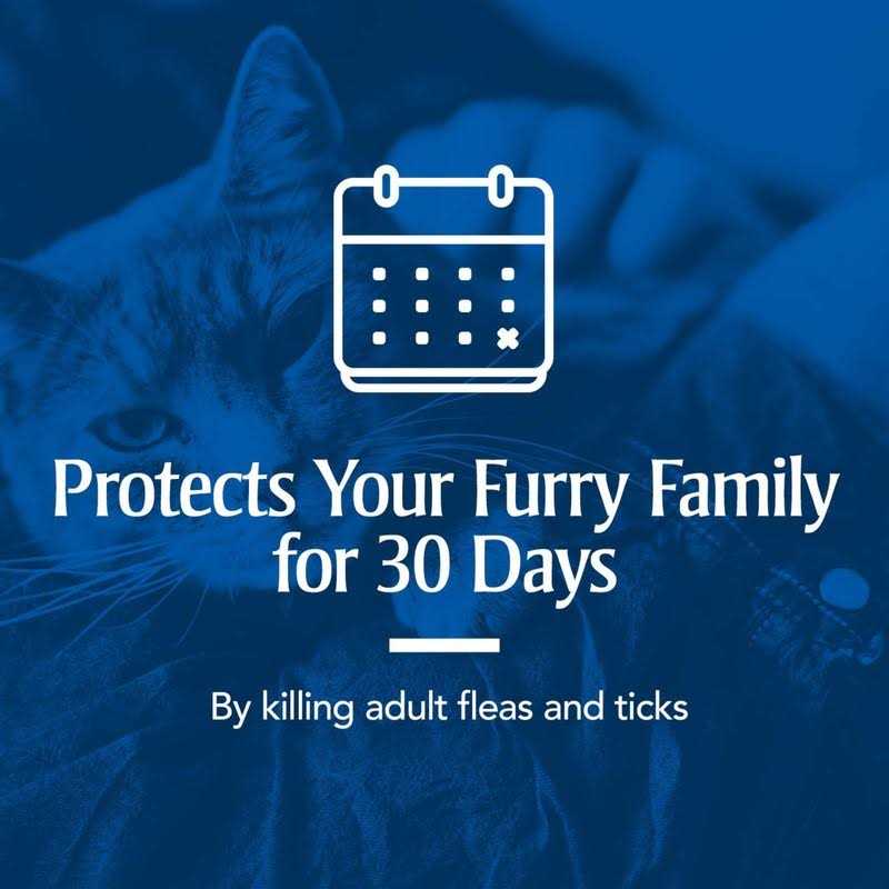 Flea and Tick Treatment for Cats I310
