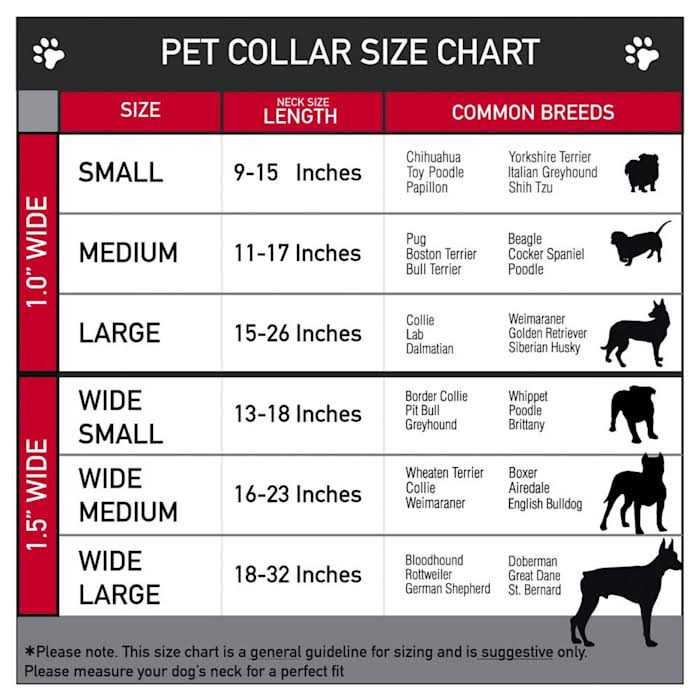 Dog Collar Seatbelt Buckle O92646