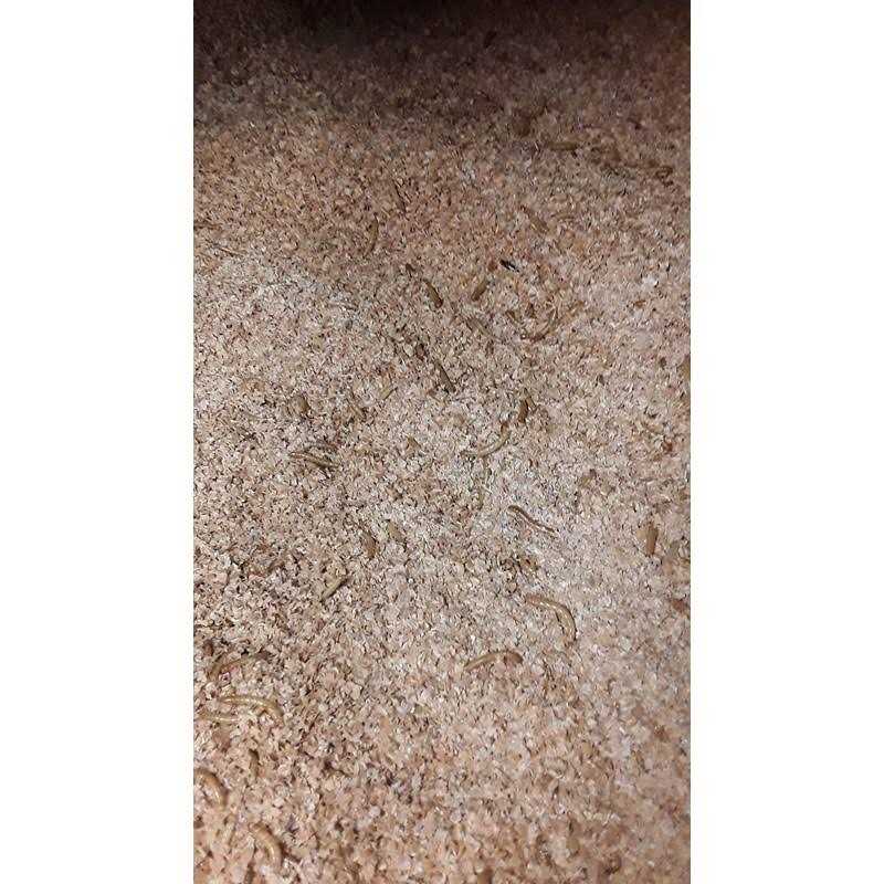 Mealworm and Superworm Bedding H3919