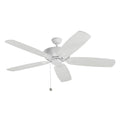 Ceiling Fan C810349