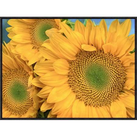 Framed Photographic Print Q237