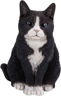 Sitting Cat Black/White P737