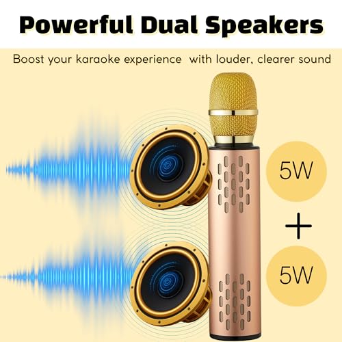 Black Handheld Wireless Microphone with 10W Dual Speakers D9839