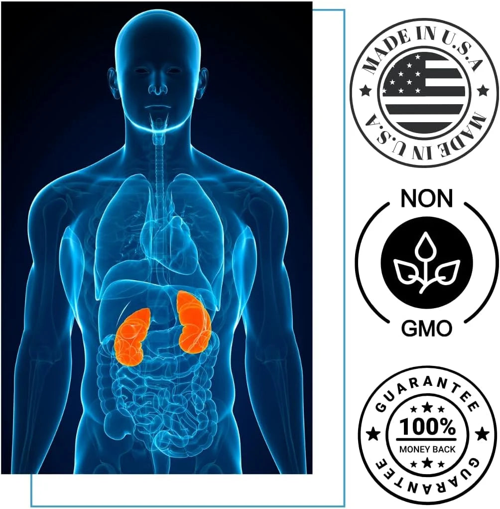 Kidney Support Supplement G973456