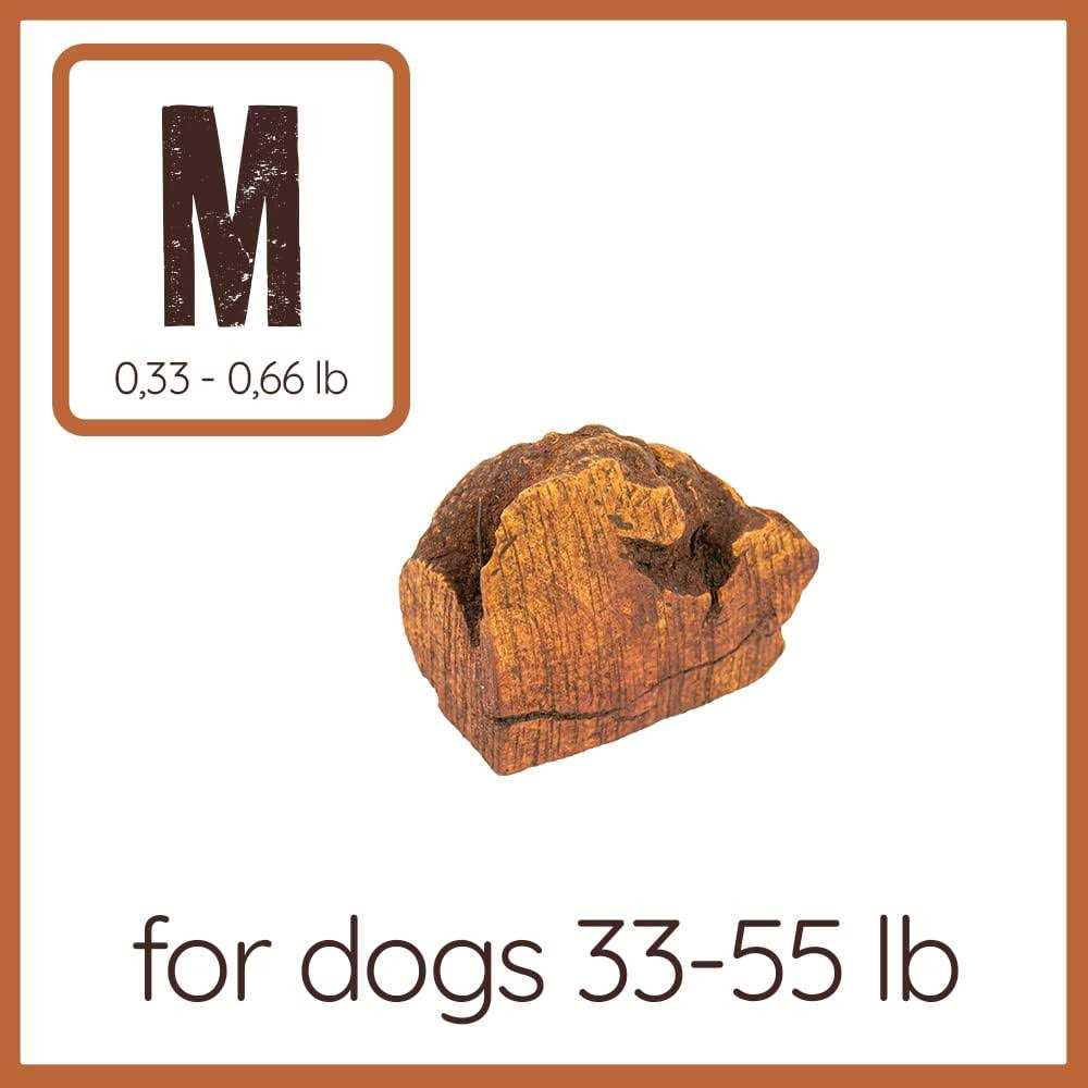 Chew Root for Dogs Z89564