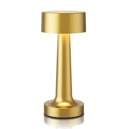 Portable LED Table Lamp, 3 Color Touch Control Rechargeable Metal Desk Lamp V53324