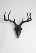 Black Faux Deer Skull Y223257