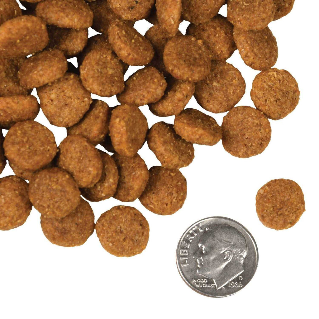 Salmon Dog Food H6232