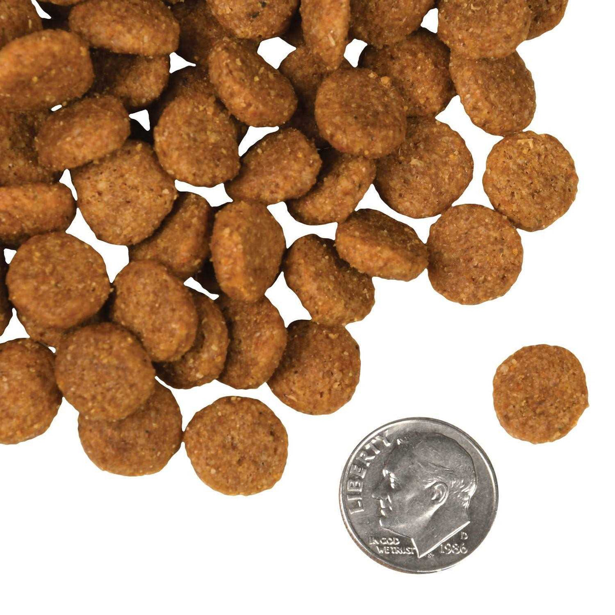 Salmon Dog Food H6232