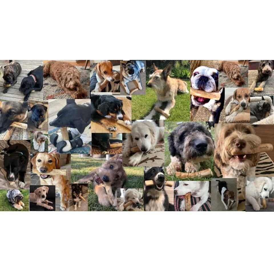 Dog Chew Toys Coffee Wood I347496