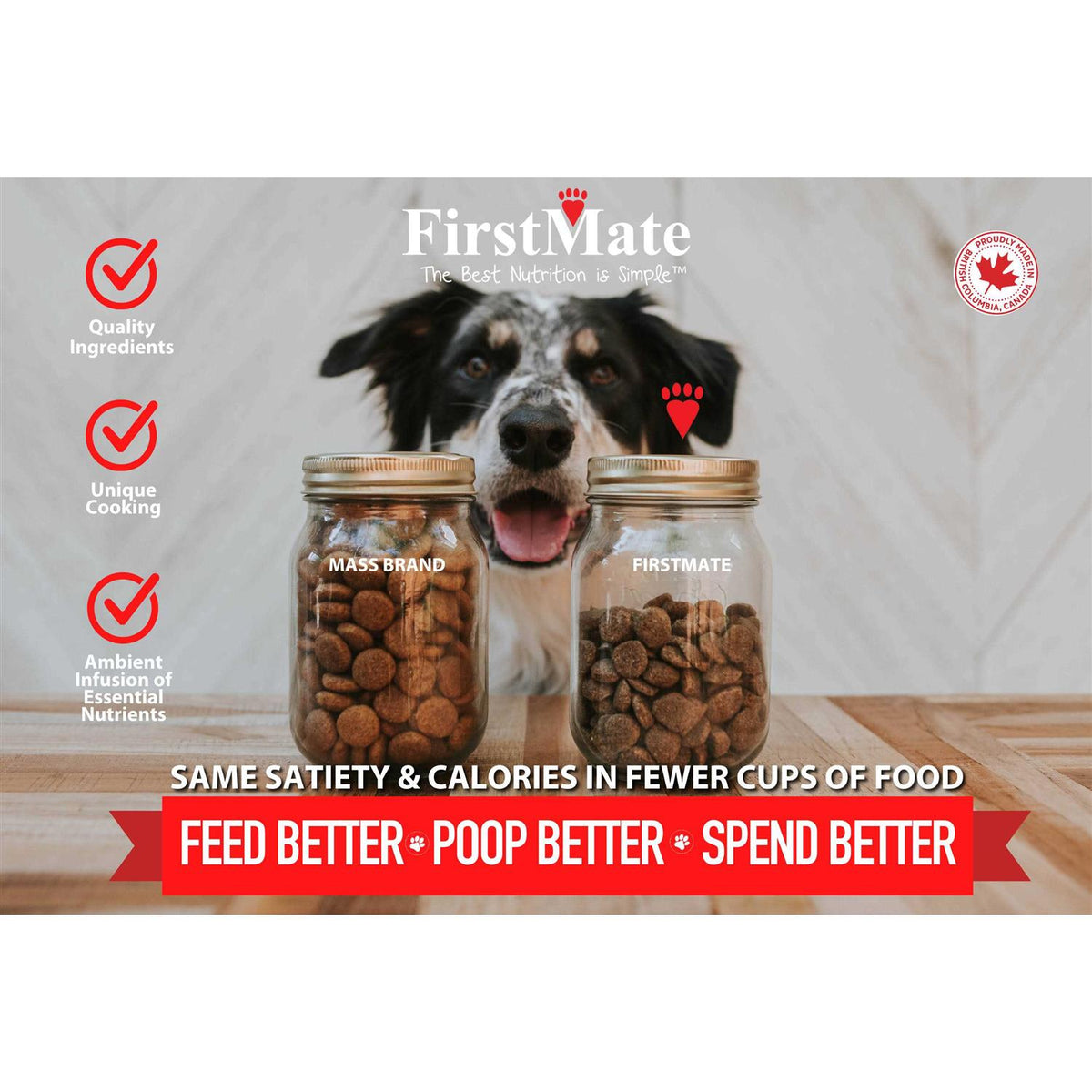 Cage Free Duck & Oats Dry Dog Food B6107