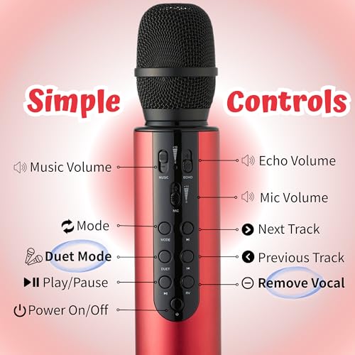 Black Handheld Wireless Microphone with 10W Dual Speakers D9839