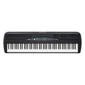 88-Key Digital Piano with Speaker R110