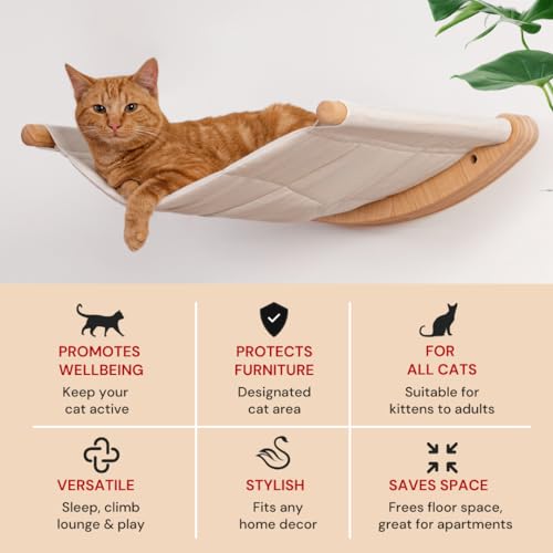 Wall Mounted Cat Hammock with Two Steps B13655