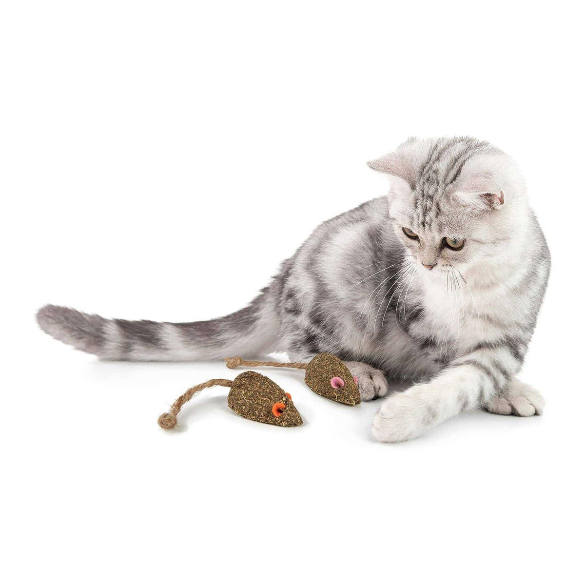 Cat Toy K4775