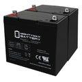 12V 55Ah Battery 2 Pack P1619