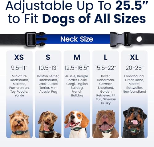 Wireless GPS Dog Fence with Shock Collar O763401