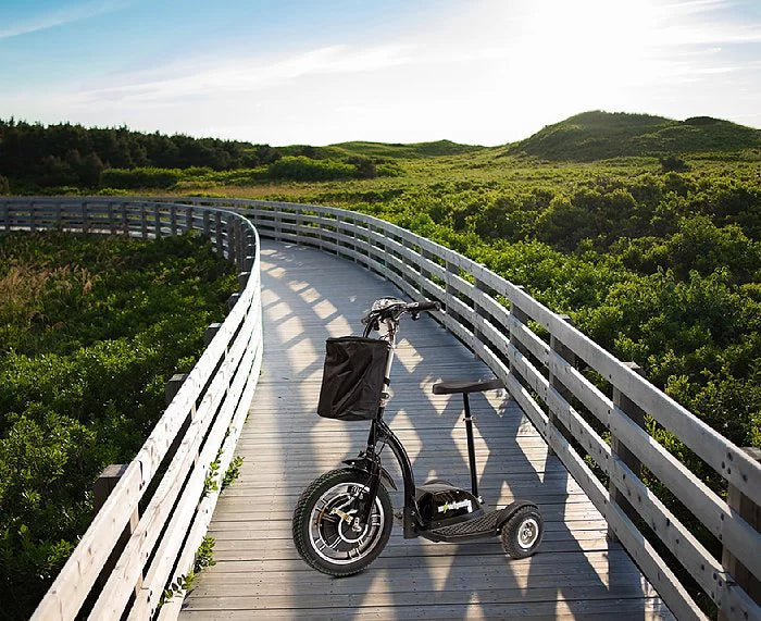 3-Wheel Scooter H237234