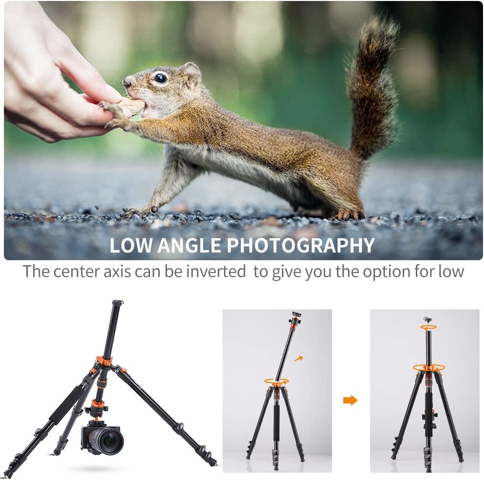 78 inch Aluminum Camera Tripod with 360 Degree Ball Head, Pack of 2 A7671
