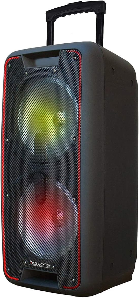 Bluetooth Dual 10 Inch PA Speaker System U160