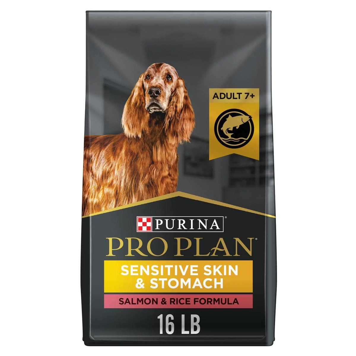 Salmon & Rice Sensitive Skin & Stomach Dry Dog Food 16 lb U26958