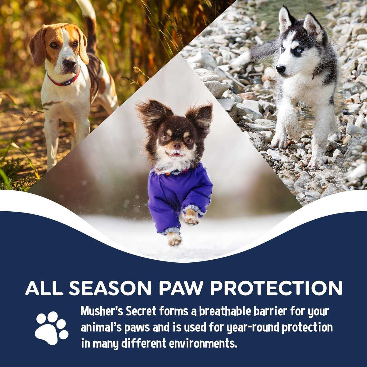 Pet Paw Protection Wax V5982
