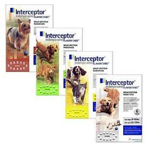 12 Month Supply Pet Supplies S193