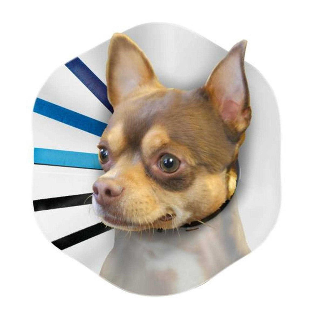 Clear EZ Collar U97672