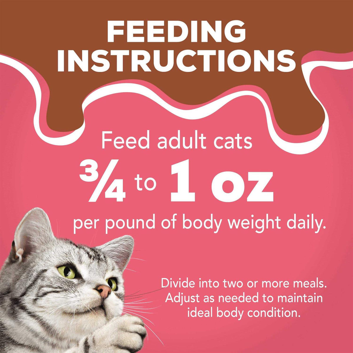 Wet Cat Food H513