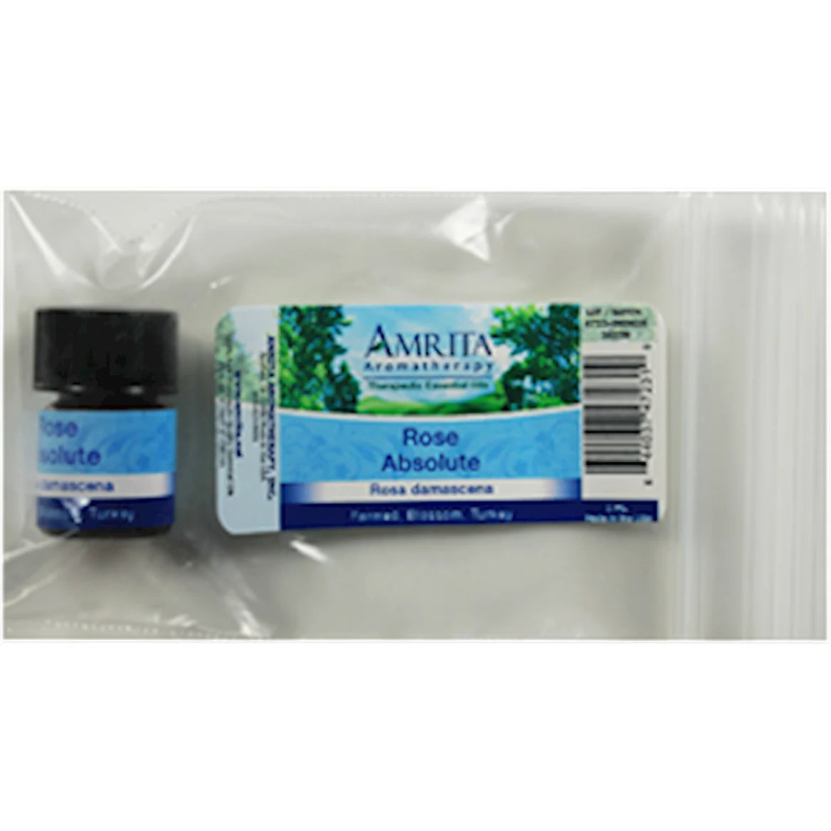 Rose Absolute H530438