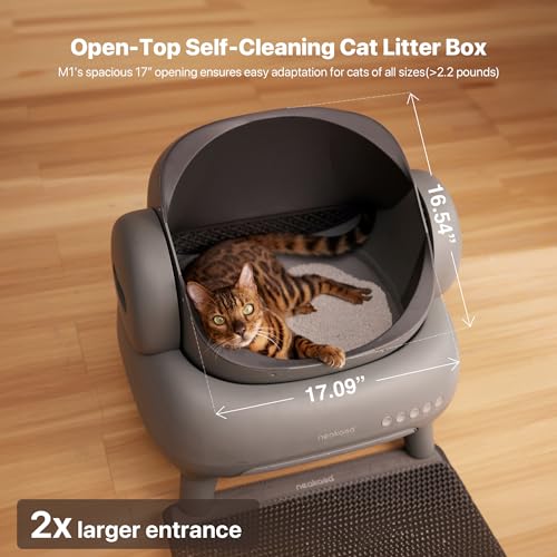 Open-Top Self Cleaning Automatic Cat Litter Box D30648
