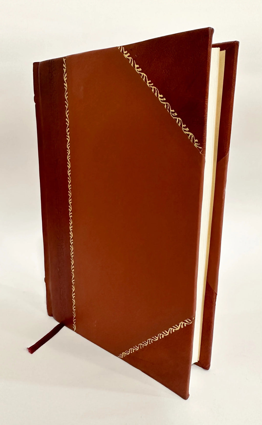 Physico-Chymicum Lapidis Philosophorum Leather Bound F661