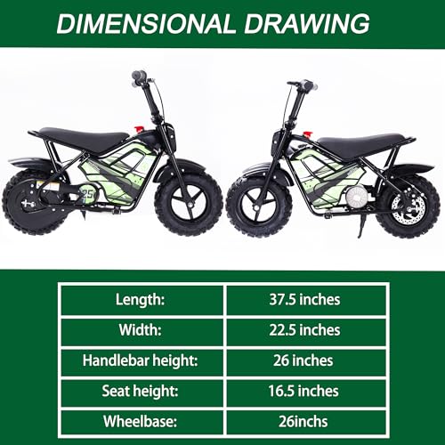 Electric Dirt Bike for Kids 250W 24V 9AH Off-Road Tire Green Q635909